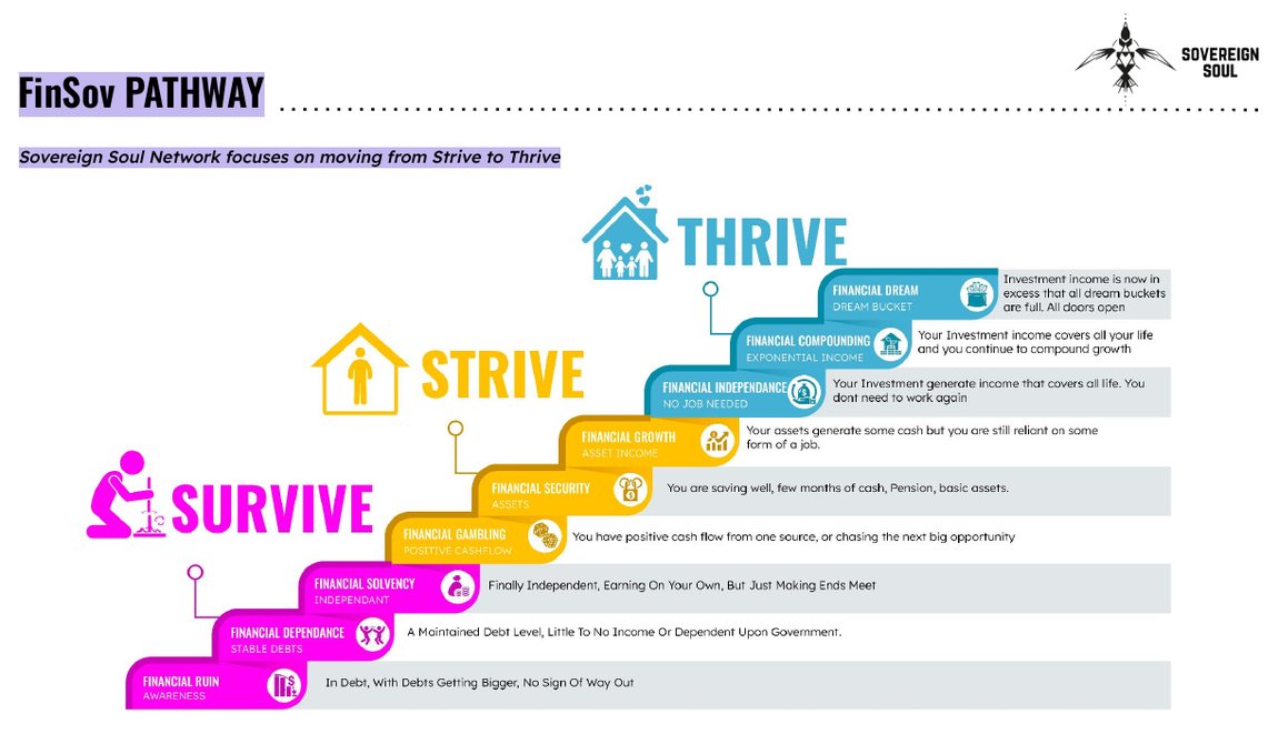 The FinSov Pathway: survive, strive, thrive, across nine financial stages